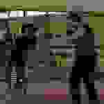 pav8