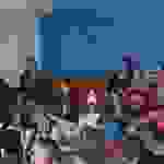 pav9
