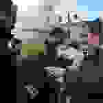 riz9
