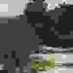 20150315_130209