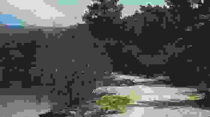 20150315_130209