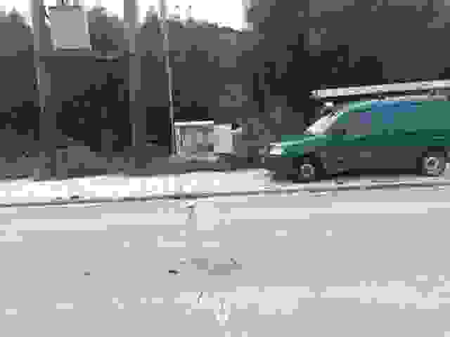 IMG 4646