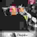 barb6