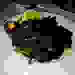 bur10
