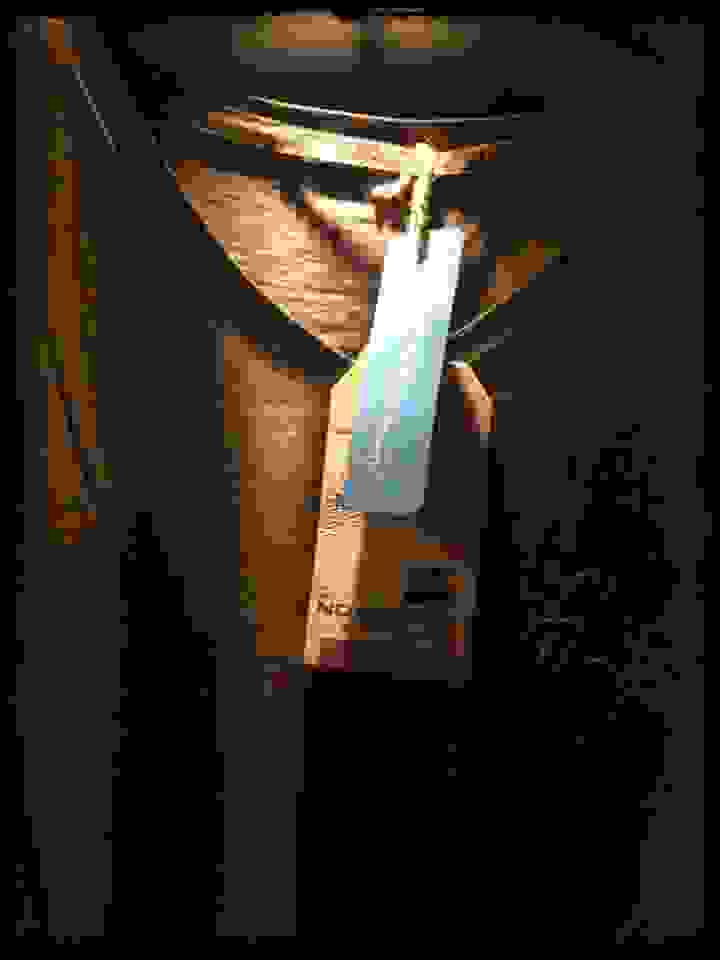 ex