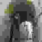 gri1