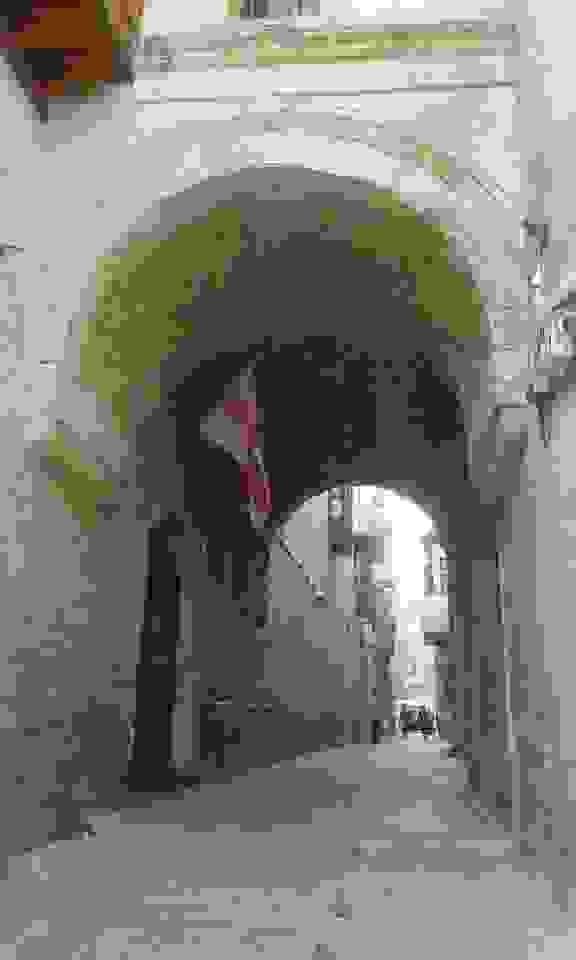 gri1