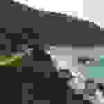 jer11