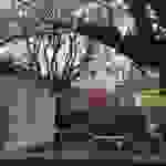 jer25