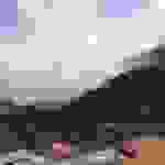jer33