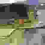jer7