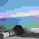 jer7