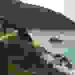 jer8