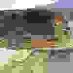 jer8