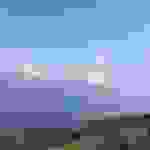 kom19