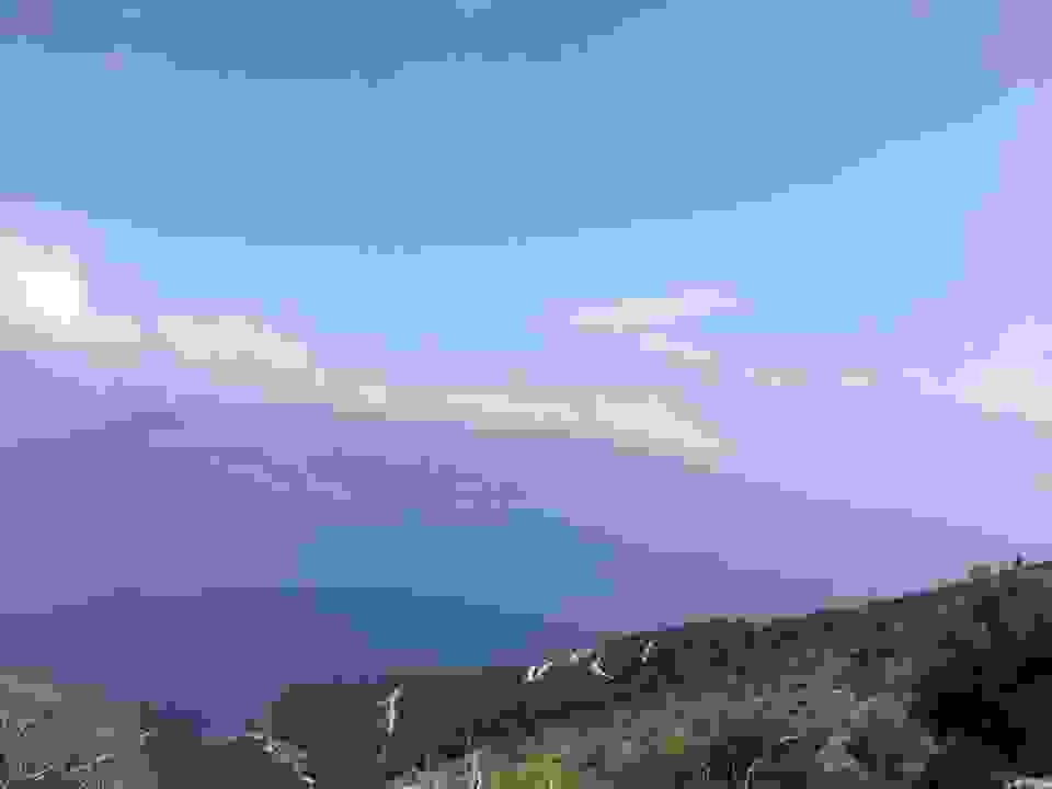 kom19