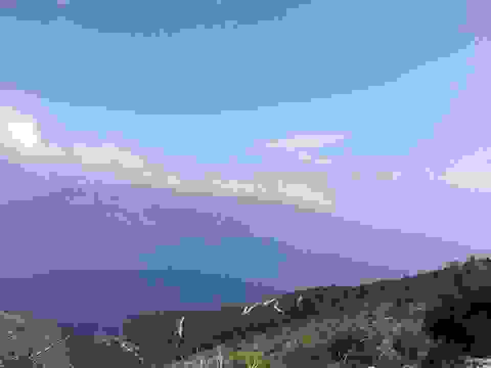 kom20