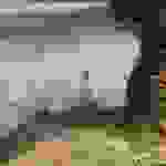 kut6