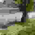 kut7