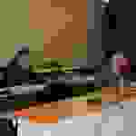oik11