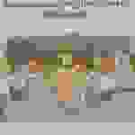 pav10