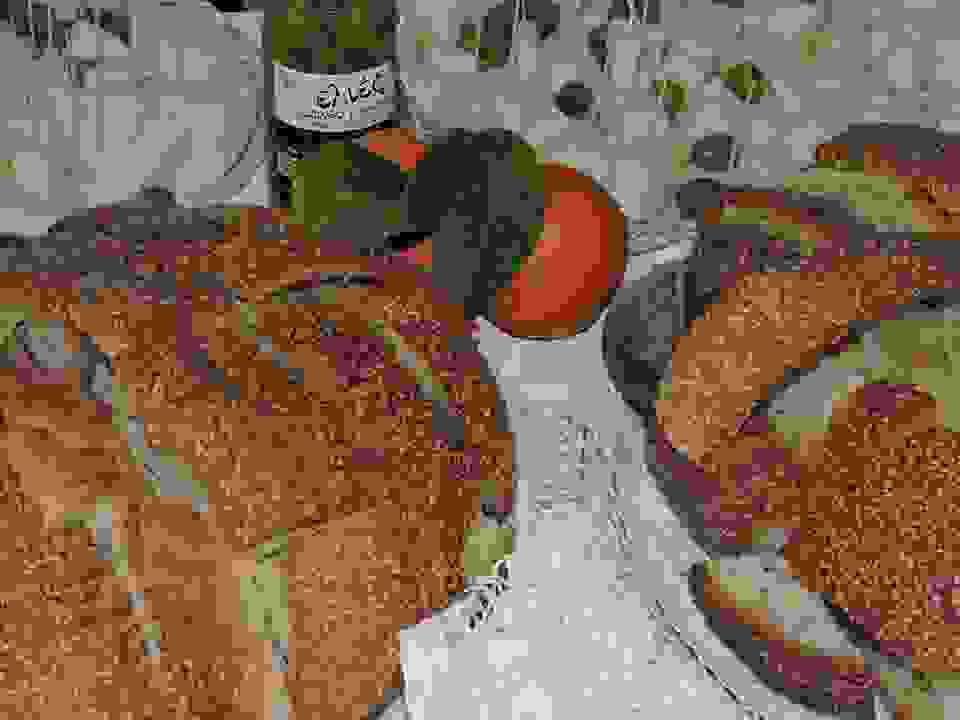 pav13