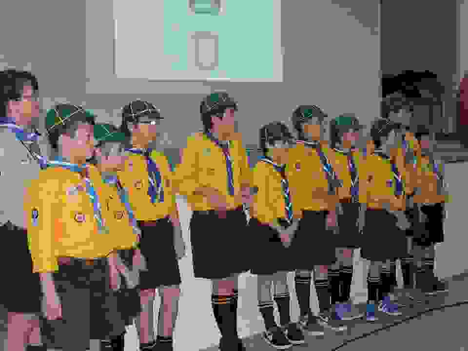 pav15