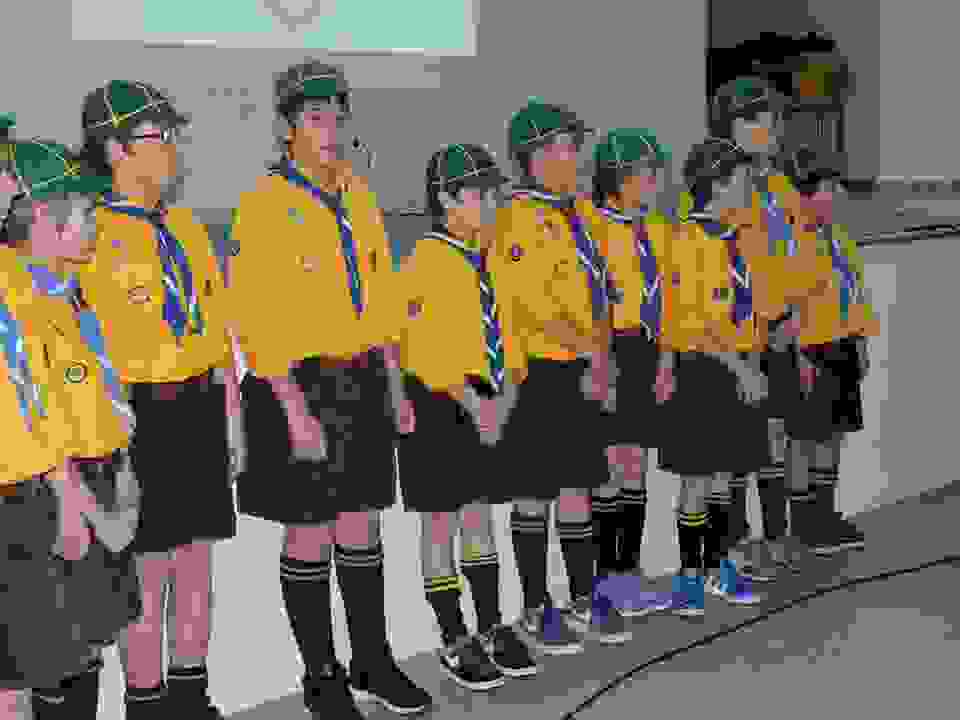 pav16