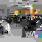 pav20