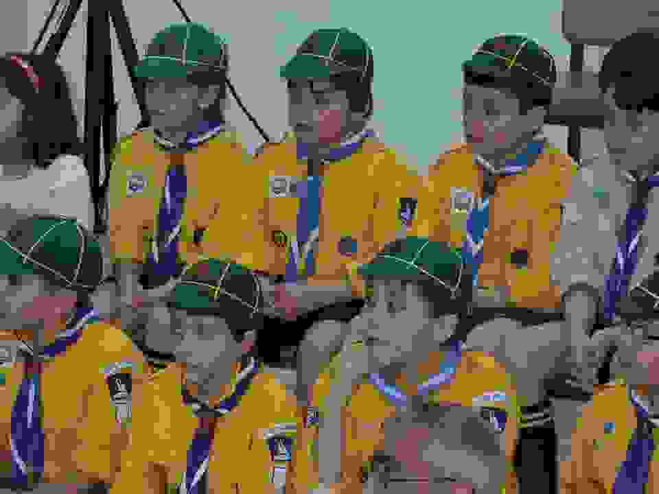 pav3