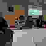 pav3