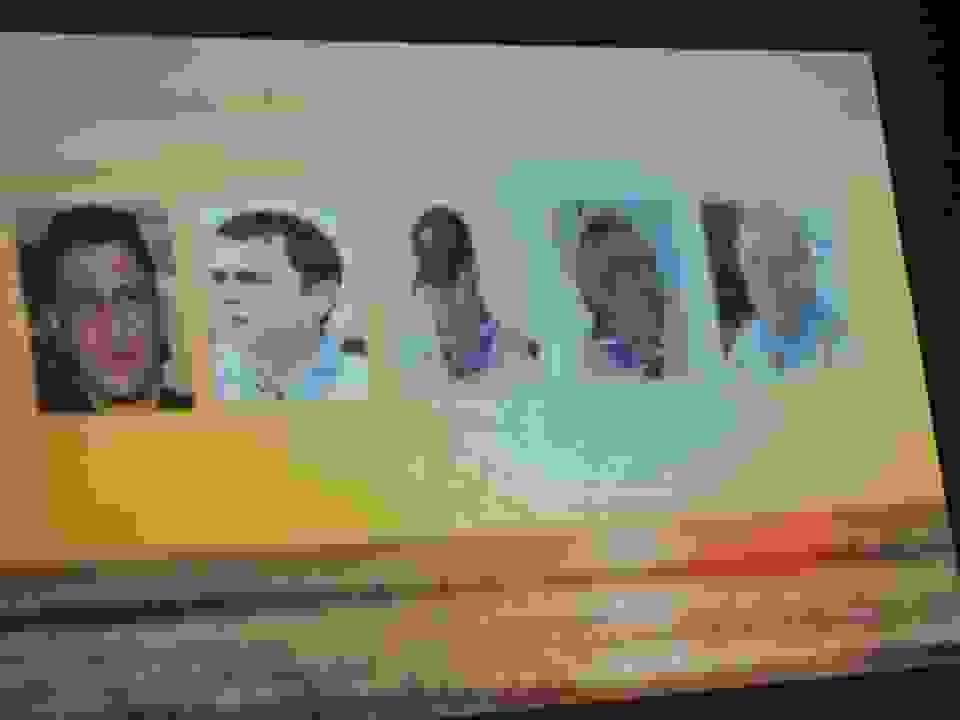 pav32