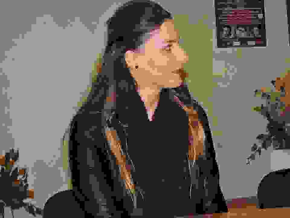 pav3