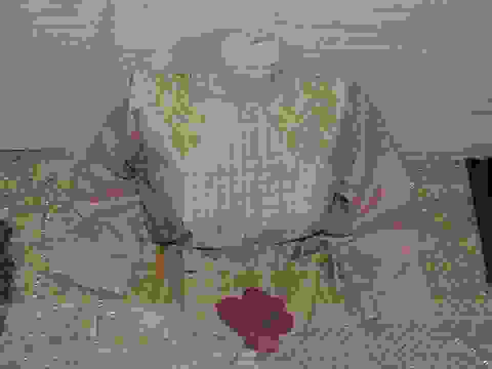 pav3