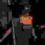 pav36