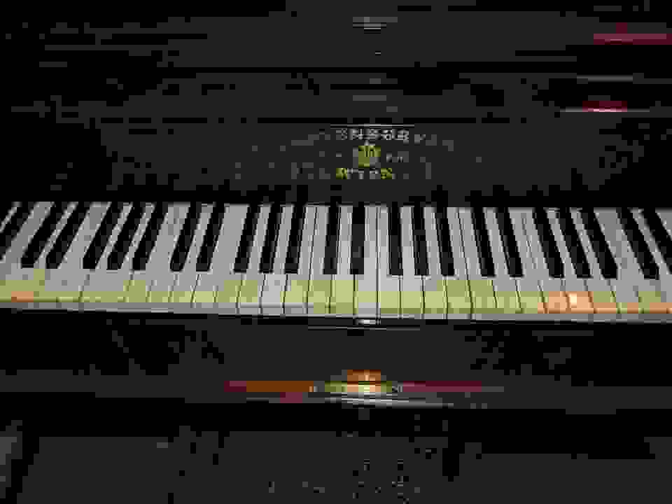 pav40