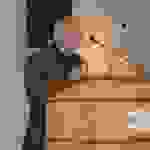 pav4
