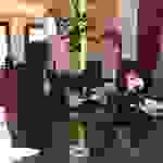 pav4
