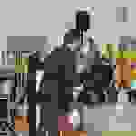 pav44