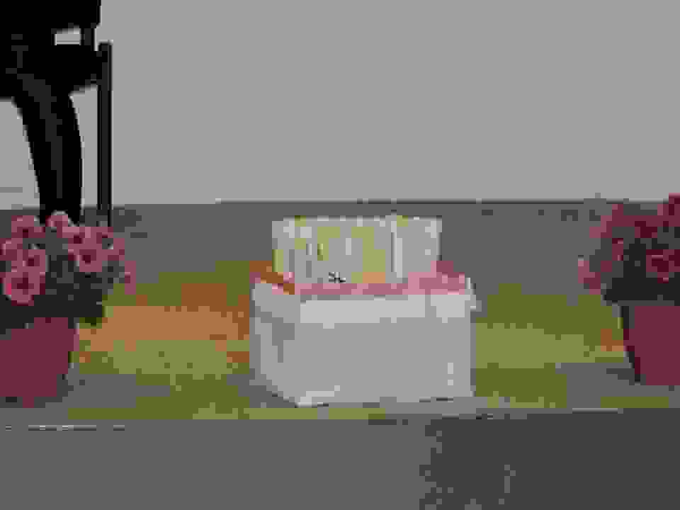 pav6
