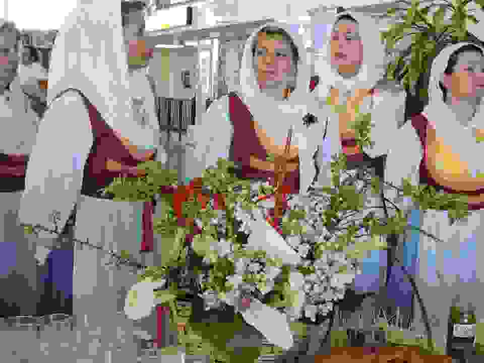 pav9