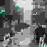 pop