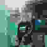 pop3