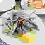 vin3