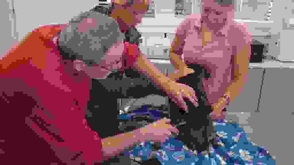 zo