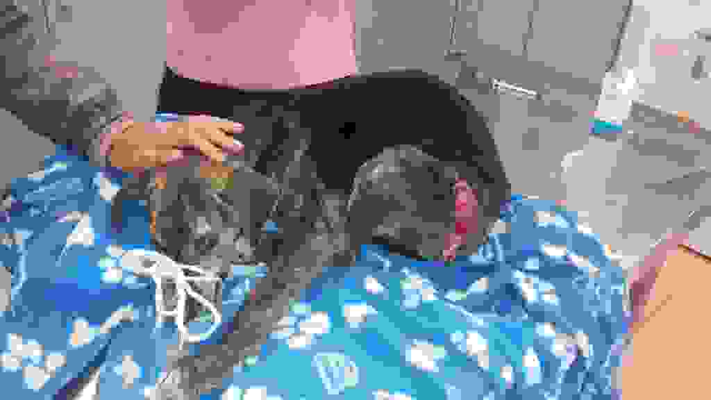 zo3