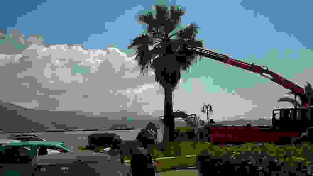 ALEX1