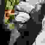 ALEX1