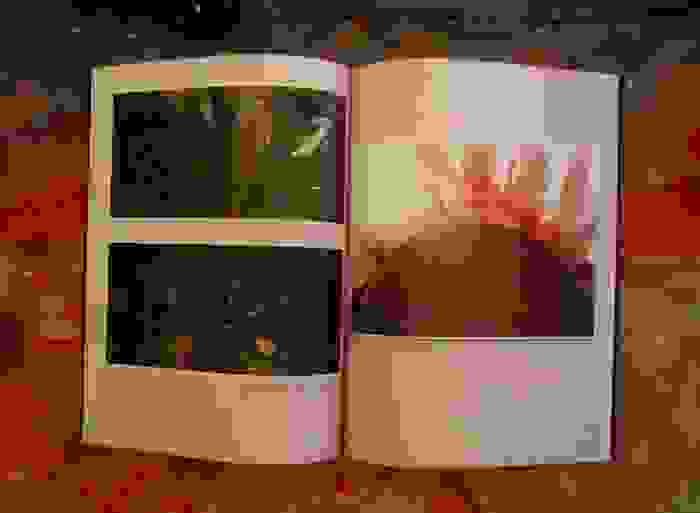 COSTAS EVANGELATOS, ART BOOK