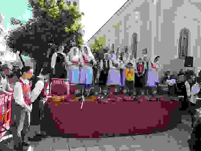 DSCN7665